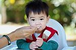 Asian Baby Stock Photo