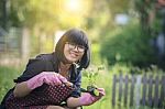 Asian Woman Planting In Home Garden Stock Photo