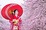 Asian Woman Wearing Japanese Traditional Kimono And Cherry Blossom In Spring, Japan Stock Photo