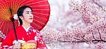 Asian Woman Wearing Japanese Traditional Kimono And Cherry Blossom In Spring, Japan Stock Photo