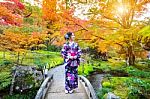 Asian Woman Wearing Japanese Traditional Kimono In Autumn Park. Japan Stock Photo