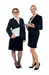 Attractive Female Executives, Full Length Shot Stock Photo