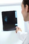 Attractive Young Female Doctor Examining X-ray Results Stock Photo