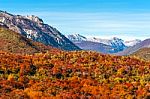 Autumn Colors Of Patagonia, Near Bariloche, Argentina Stock Photo