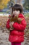 Autumn Games In The Park Stock Photo