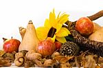 Autumn Harvest Composition With Pumpkins And Apples Stock Photo