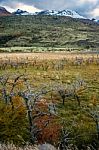 Autumn In Patagonia. The Torres Del Paine National Park In The S Stock Photo