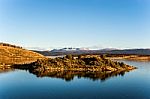 Autumn In Patagonia. Tierra Del Fuego, Beagle Channel And Chilea Stock Photo