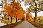 Autumn October Colorful Park. Foliage Trees Alley Stock Photo