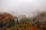 Autumn Rain In Mountain Forest. Colorful Wood In Clouds Of Fog Stock Photo