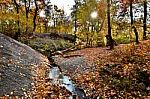 Autumn Scenery Stock Photo