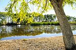 Autumn Scenery Near A Lake With Yellow Leaves On  Trees In Fall Stock Photo