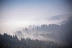 Autumn September Foggy Morning In Mountains Stock Photo