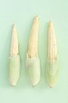 Baby Corn Stock Photo