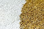 Background From Pile Of Paddy Rice And And Rice Seed Stock Photo