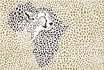 Background Of The African Cheetah Stock Photo