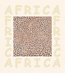 Background Texture Leopard And With Text Africa Stock Photo