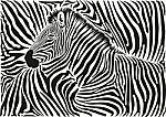 Background With A Zebra Motif Stock Photo