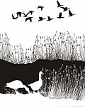 Background With Reeds And Wild Geese Stock Photo