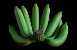 Banana On Black Background Stock Photo