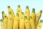 Banana Teamwork Stock Photo