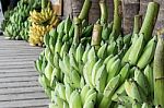 Bananas Harvesting From Farm To Market In Close Up Stock Photo