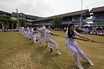 Bangkok, Thailand - Nov 2016: In The Nov 23, 2016. Youth Tug Of War, In Pieamsuwan Elementary School Stock Photo