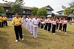 Bangkok, Thailand - Nov 2016: In The Nov 23, 2016. Youth Tug Of War, In Pieamsuwan Elementary School Stock Photo