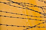 Barbed Wire Against A Grungy Old Wall In Sepia Stock Photo