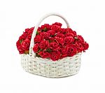 Basket Roses Stock Photo