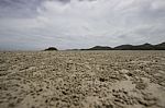 Beach Stock Photo