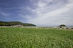 Beach Stock Photo