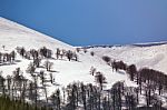 Beautiful Alps Winter Panoramic Aerial View Stock Photo