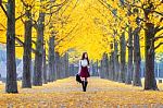 Beautiful Girl With Yellow Leaves In Nami Island, Korea. Nami Island In Autumn Stock Photo