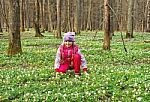 Beautiful Little Girl With Wild White Flowers In Forest Stock Photo