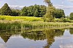 Beautiful Picture With An Amazing Lake And Forest Stock Photo