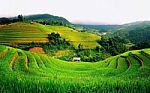 Beautiful Sunrise In Rice Fields Bali Indonesia Stock Photo