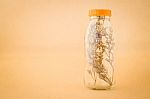 Beautiful Violet Dried Flower In The Bottle Stock Photo