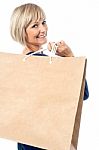 Beautiful Woman Holding Shopping Bags Stock Photo