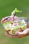 Beautiful Young Woman Holding Green Salad, Outdoors Stock Photo