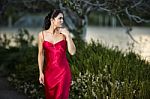 Beautiful Young Woman In The Gardens Wearing A Long Silk Red Dress Stock Photo