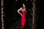 Beautiful Young Woman In The Gardens Wearing A Long Silk Red Dress Stock Photo