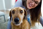 Beautiful Young Woman With Dog Playing At Home Stock Photo