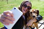 Beautiful Young Woman With Her Dog Using Mobile Phone Stock Photo