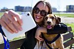 Beautiful Young Woman With Her Dog Using Mobile Phone Stock Photo