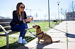 Beautiful Young Woman With Her Dog Using Mobile Phone Stock Photo