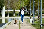 Beautiful Young Woman With Her Dog Using Mobile Phone Stock Photo