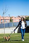 Beautiful Young Woman With Her Dog Walking In The Park Stock Photo