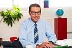 Bespectacled Senior Manager Working In His Office Stock Photo