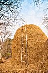 Big Pile Of Straw Stock Photo